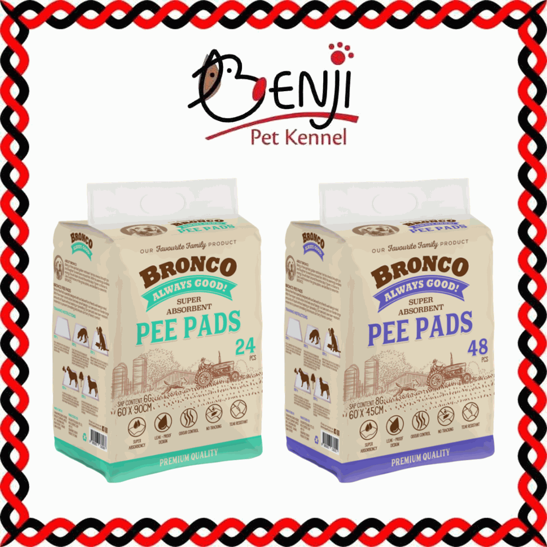 Best Pet Groomer